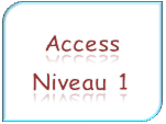 Access Niveau 1